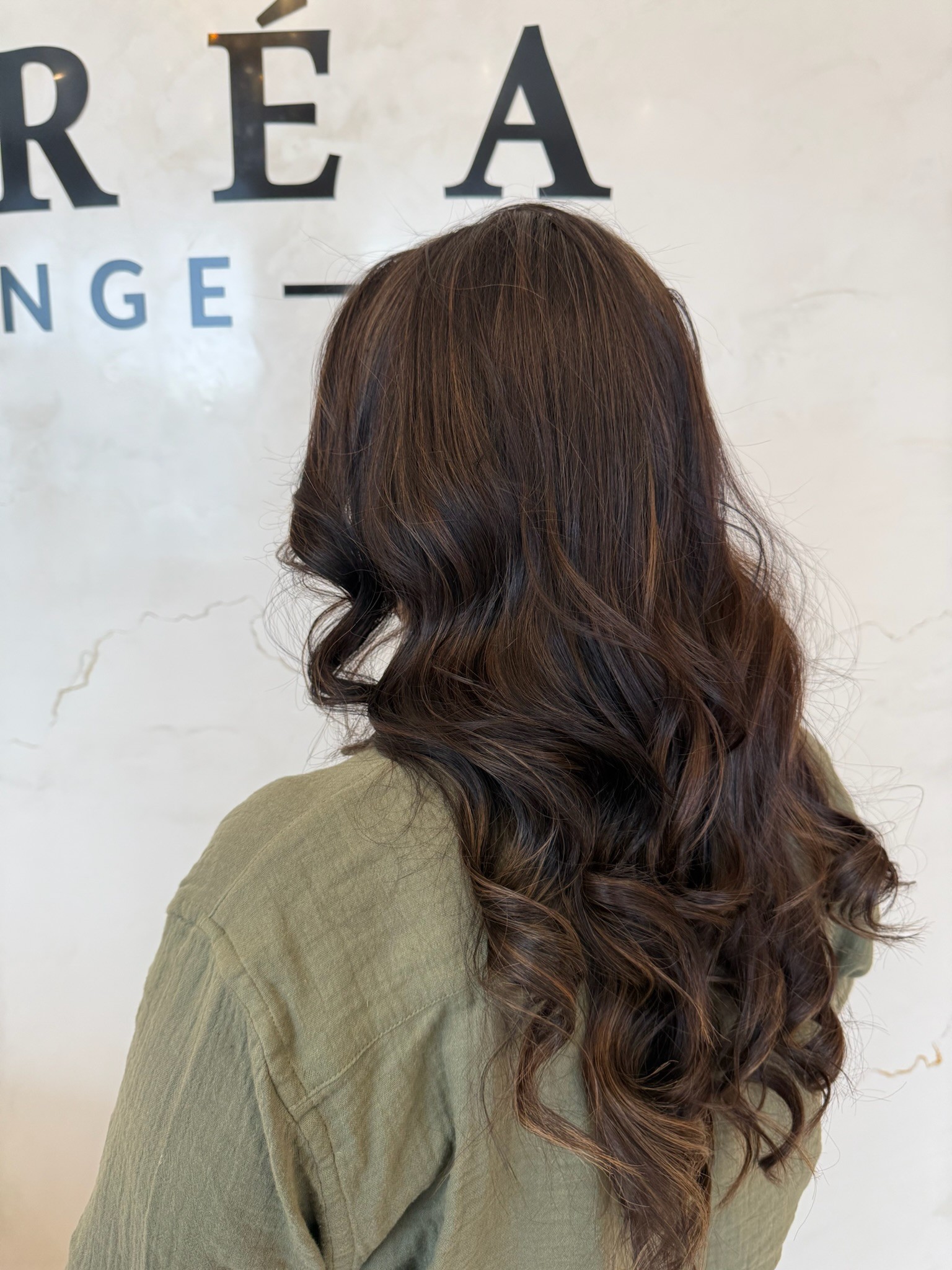 Dark brunette hair with dimensional highlights, back view, at Lioréa Lounge